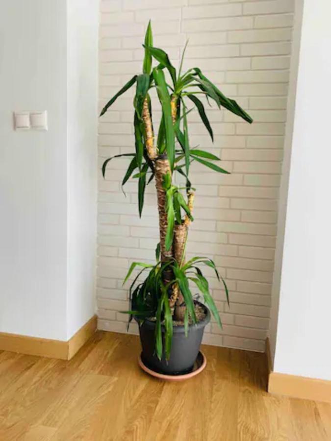 Puerto Banus Apartman Marbella Kültér fotó