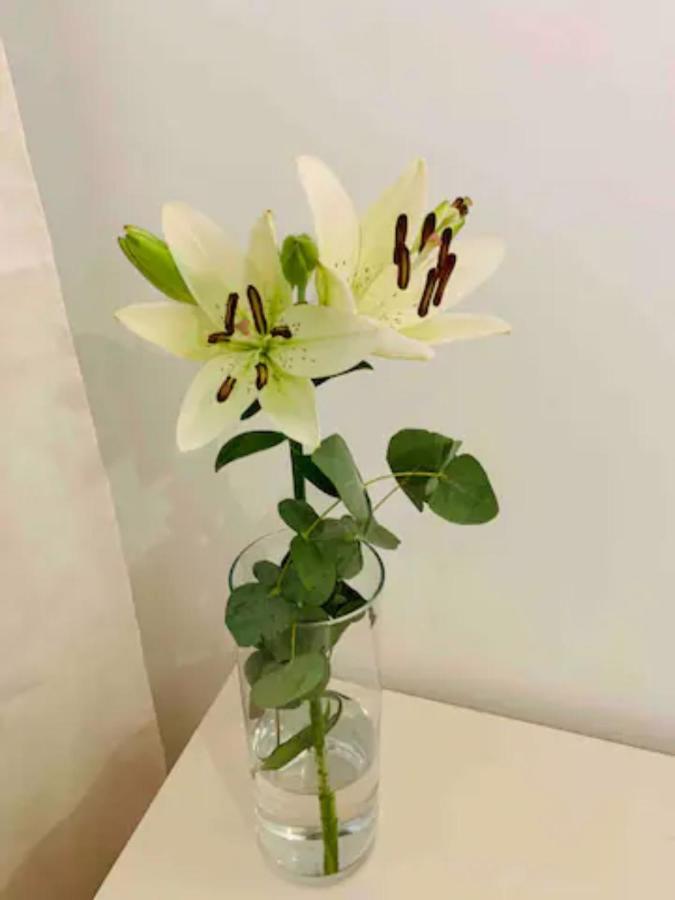 Puerto Banus Apartman Marbella Kültér fotó